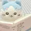 is_cat_NOW avatar