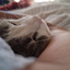 ANormalCat avatar