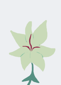 White lily cookies death
