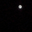 Moon_Reallife avatar