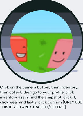 snapshot
