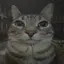 Lunar_Pawzz avatar