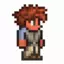 Chickn avatar