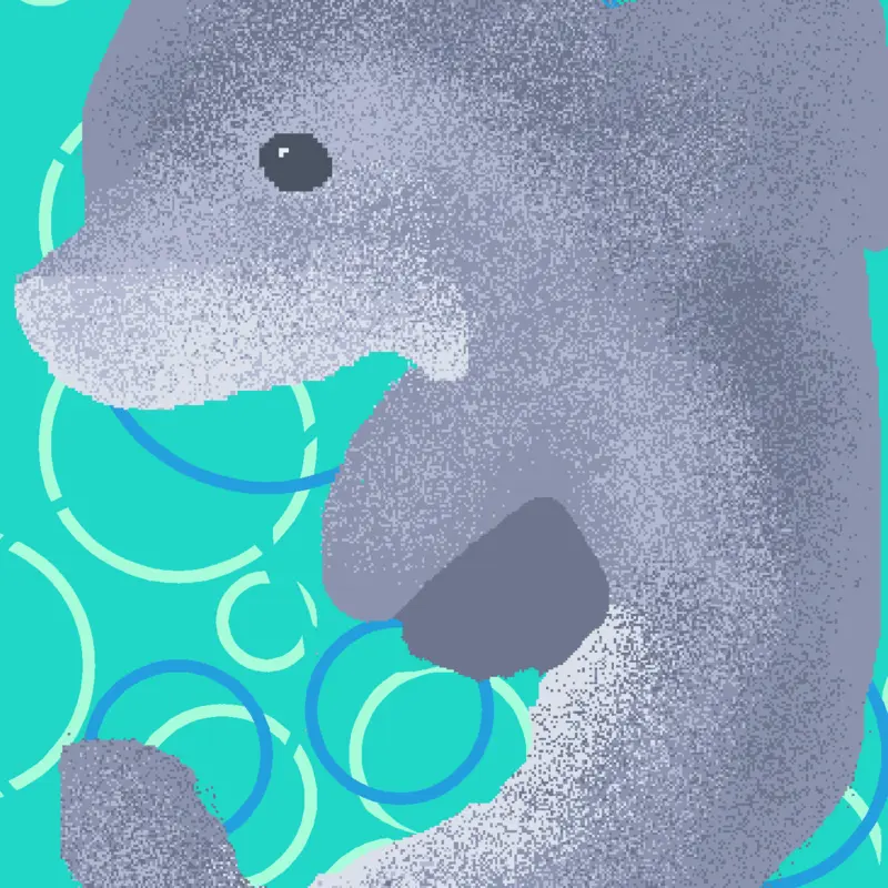 Simple little dolphin drawing by @OceanHea