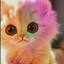 Rainbow_Kitty_Cutie avatar