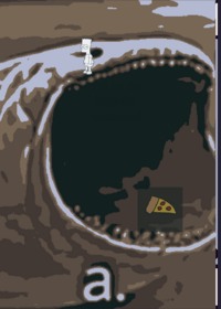 You vs homer clicker simulator