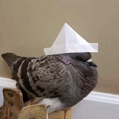 @seallyseal45