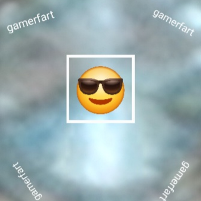 @gamerfart9999
