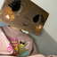 shellys_dinonug-Alt avatar