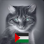 EpicCatz avatar