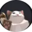 DenizOnCastle avatar