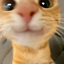 Mishu_Creeper1512 avatar