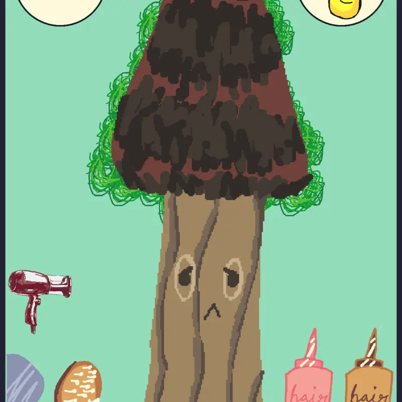 Tree hair salon! by @Angelpoise