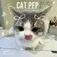 mini_mochi avatar