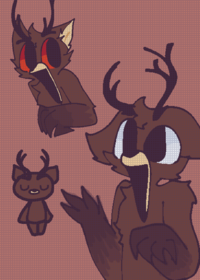 The deer from 99 nights in the forest!