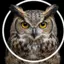 waitwhatimpossible avatar