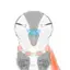Owlydee avatar