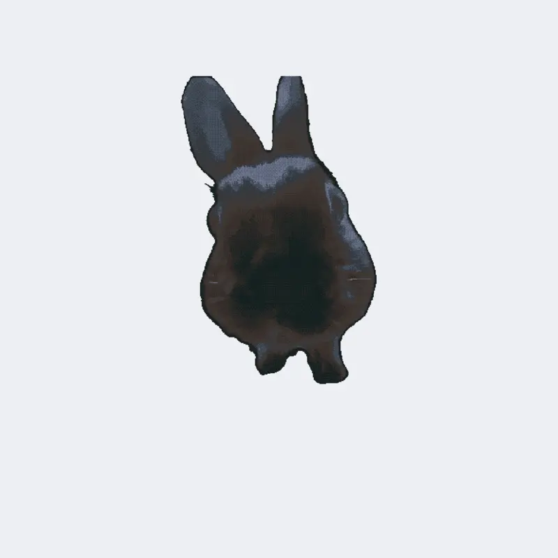 Bunny by @den2017