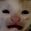 hehe_catthelazy avatar