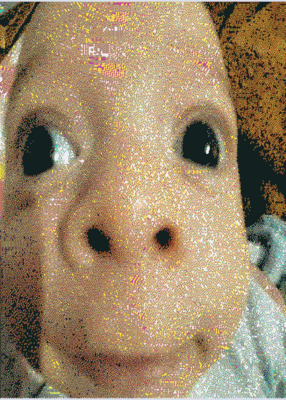 snapshot