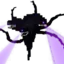 kel2024 avatar