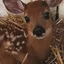 Fawnellie avatar