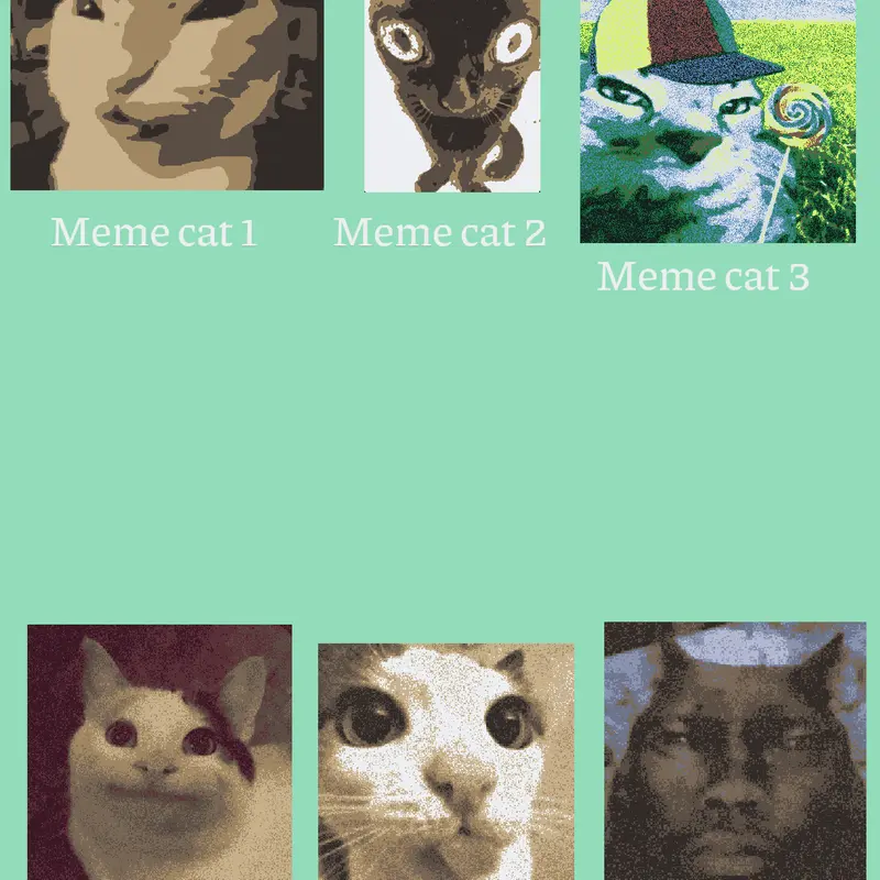 For cat fans by @castlefan_9735