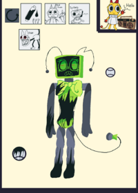 Vee ragdoll