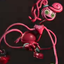 RobIoxpoppy2 avatar