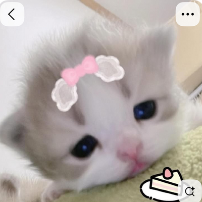 @PRINCESSALWAYS
