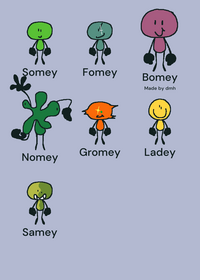 Some(y) Someys