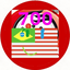 Brasilunidos_joga avatar