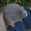 Aytist avatar