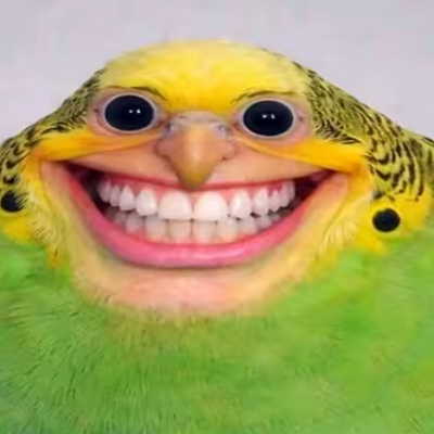 @Cheese_cookie