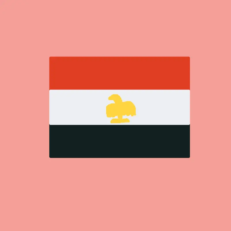 Flag band by @Bouganvilleathehorn