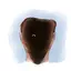 Dorcelessness avatar