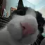 goofylilguy avatar