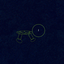 TravelTurtle avatar