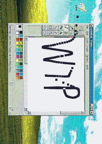 Windows XP