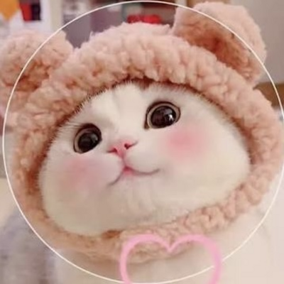 @LavenderLiseraCute_2025