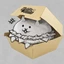 thespace_bro avatar