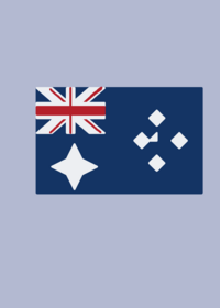 flag band