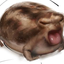 Antdev1 avatar