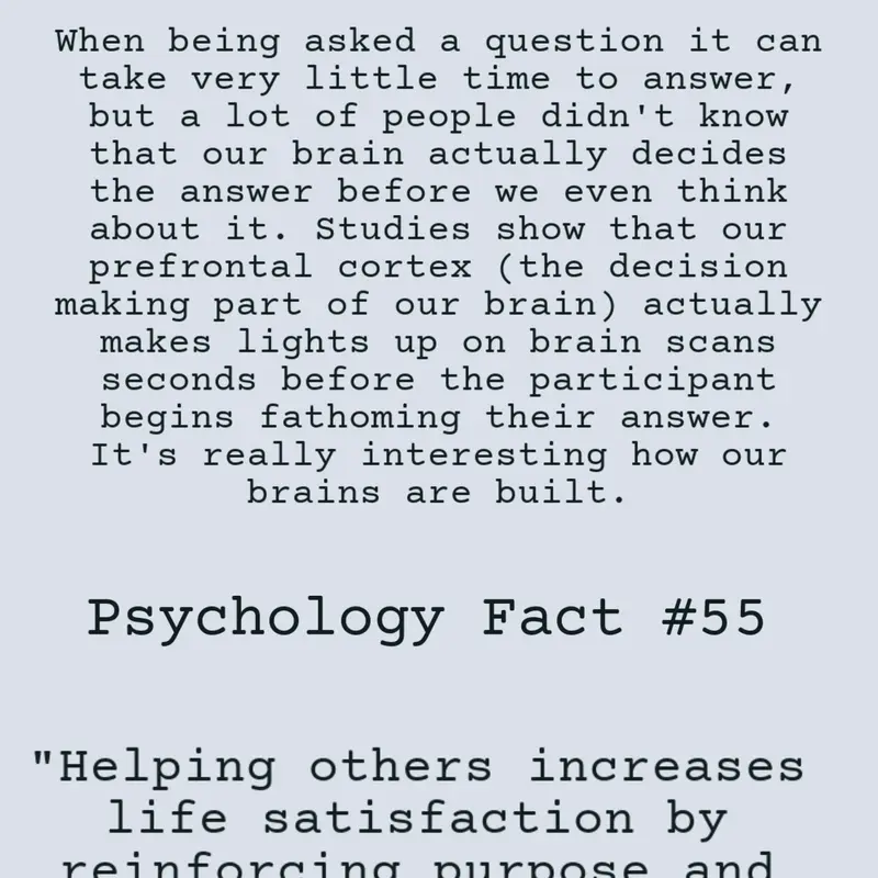 Your Brain's Decision Making by @-Turtle-