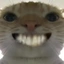 catwithbrightteeth avatar