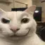 gato-ramdom9183 avatar