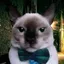 LAGITO avatar