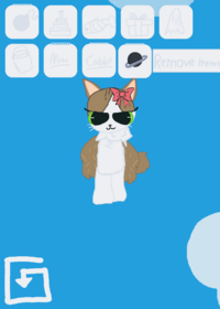 Meowl Ragdoll