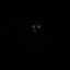 Ramm3r_SC4R3- avatar