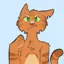 dannycat10 avatar